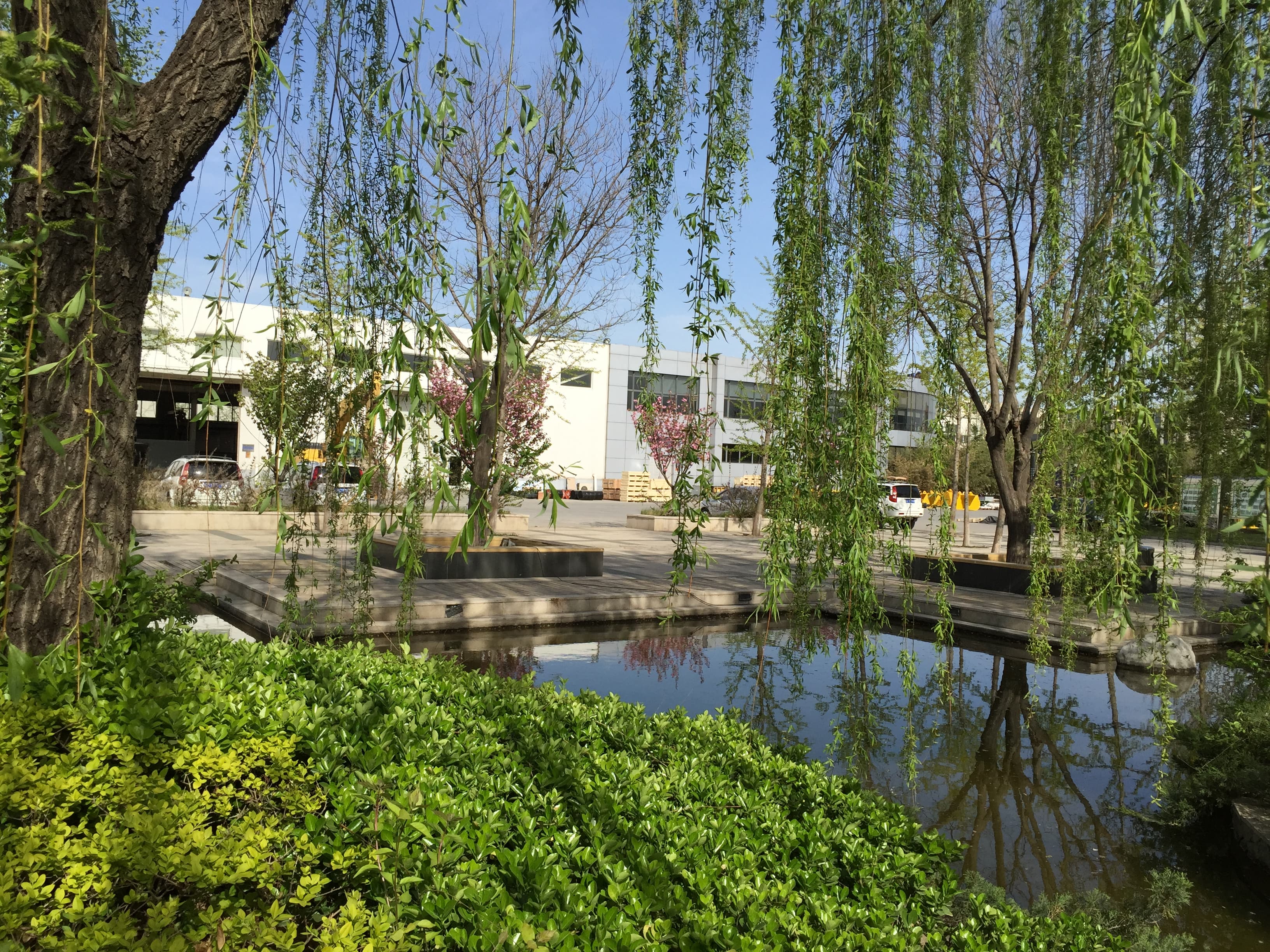 Pond and willow trees within Beijing Hengri Industrial Park